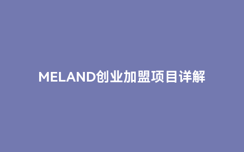 meland创业加盟项目详解，如何加入meland家族？